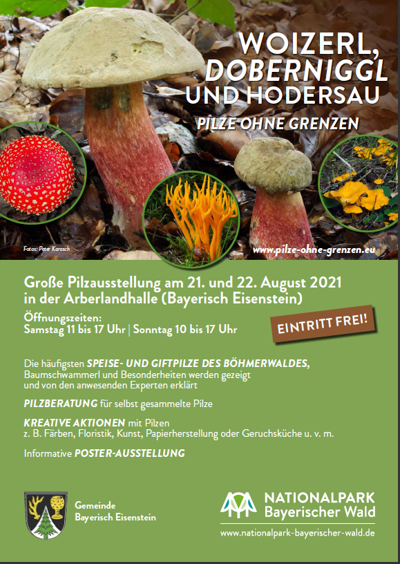 Große Pilzausstellung in der Arberhalle (Bayrisch Eisenstein) 